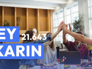 Portada Ley Karin.jpg